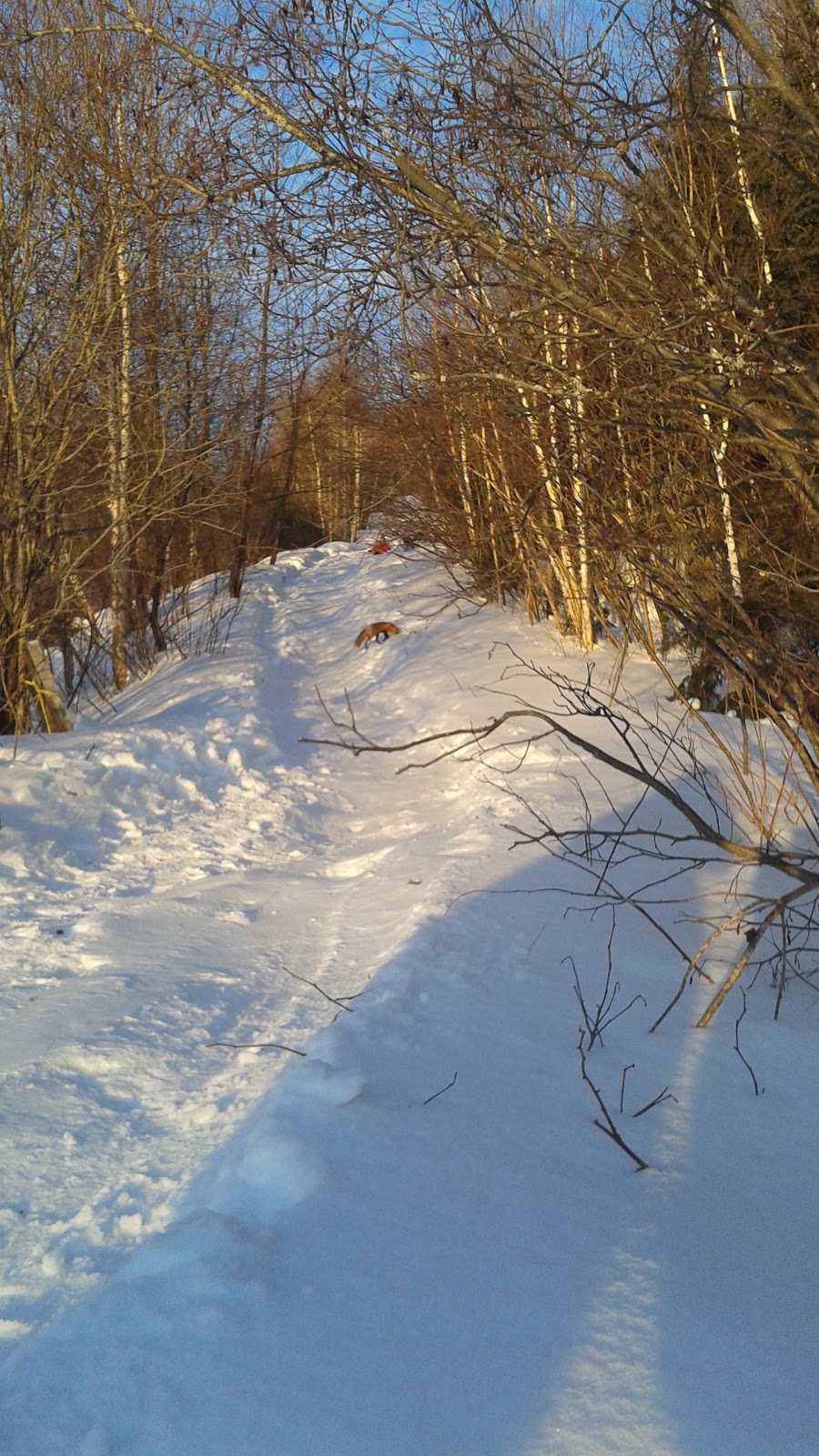 Chalet Du Mont-Trinite Ltee | 220 Chem. du Mont-Trinité, Saint-Michel-des-Saints, QC J0K 3B0, Canada | Phone: (450) 833-5598