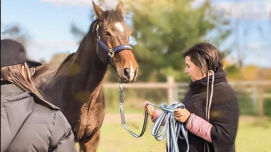 Centre Équilibre | 87 Rang du Petit Bois, Pierreville, QC J0G 1J0, Canada | Phone: (438) 874-0218