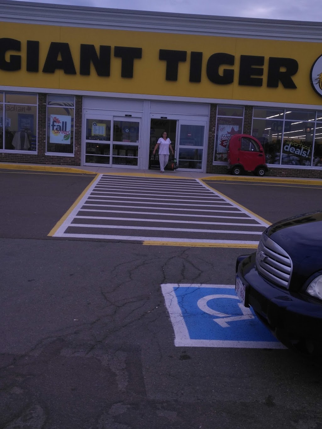 Giant Tiger | 720 Coverdale Rd, Riverview, NB E1B 3L8, Canada | Phone: (506) 383-4222