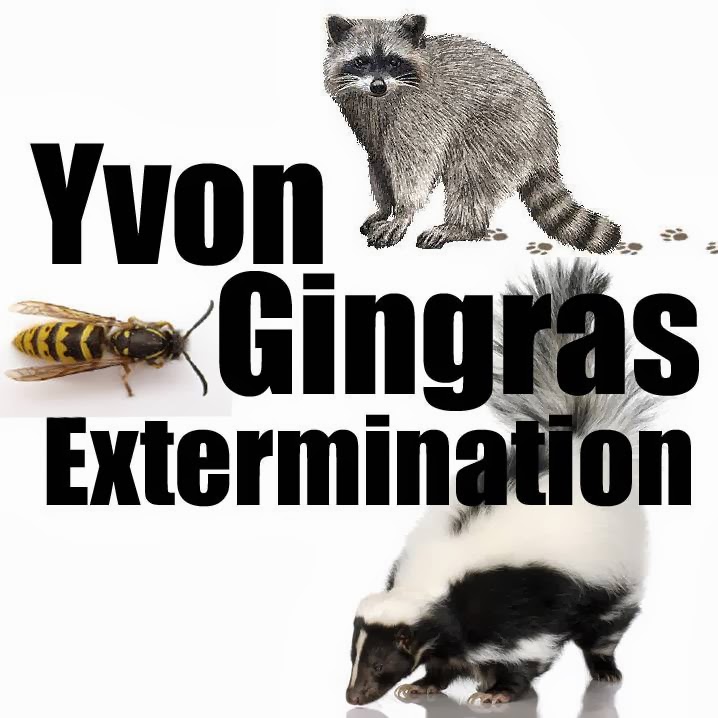 Yvon Gingras Extermination | 30 Rue Saint-Laurent, Saint-Eustache, QC J7P 1V6, Canada | Phone: (450) 473-1239