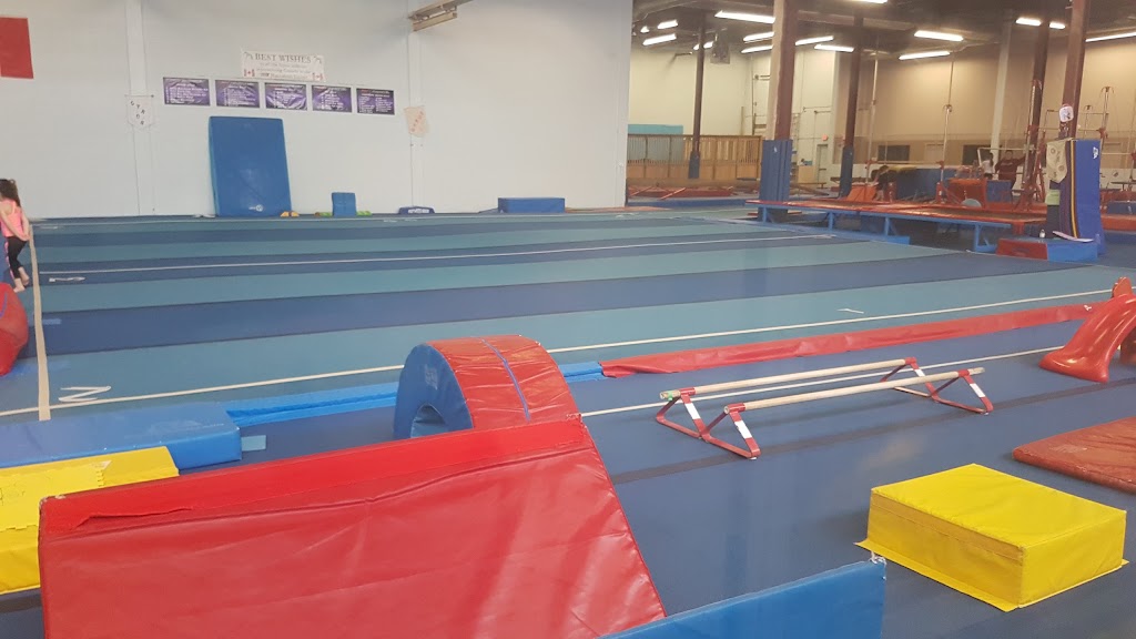 Gyros Gymnastics | 73 Samor Rd, North York, ON M6A 1J2, Canada | Phone: (416) 614-0521