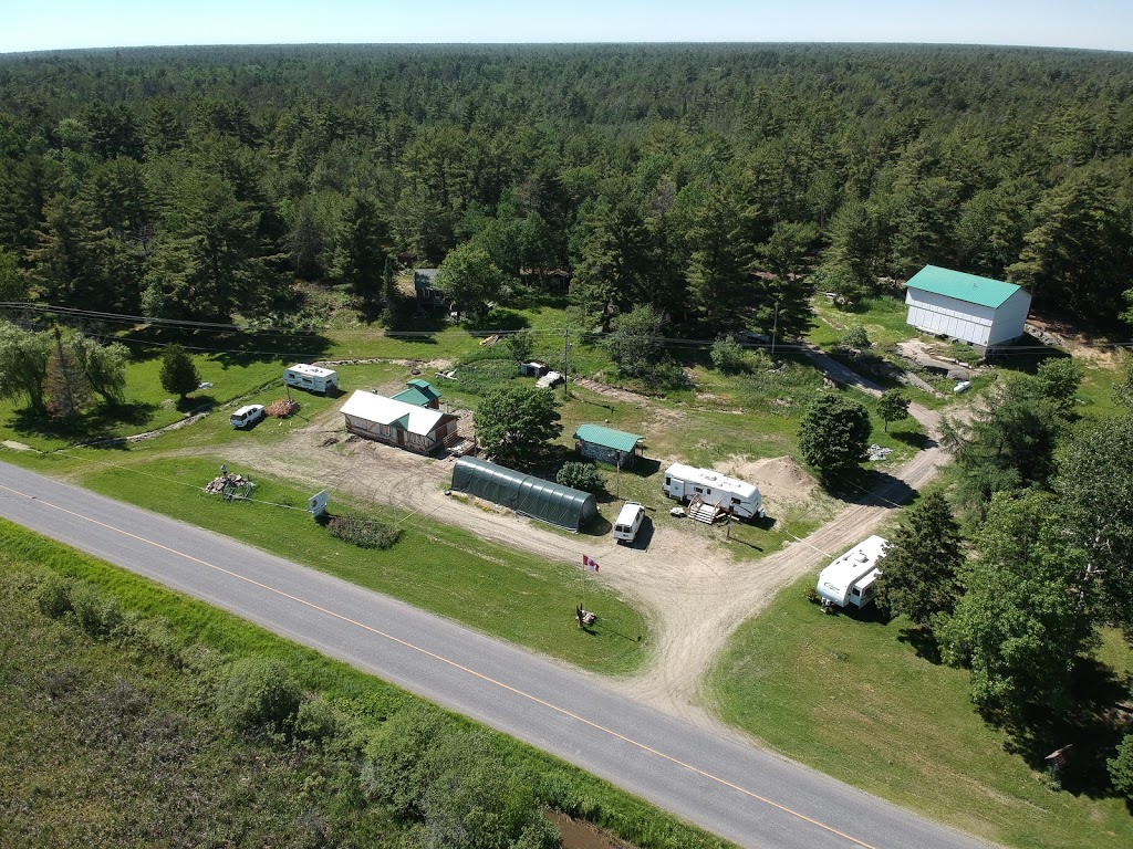 Environmental Health Consulting Inc. | Cranberry Camp, #400, ON-529, Pointe au Baril, ON P0G 1K0, Canada | Phone: (705) 366-2148