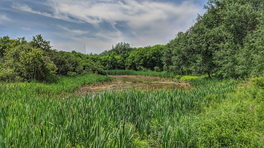 Parc du Marais | Duberger–Les Saules, Quebec City, QC G1M 0A2, Canada