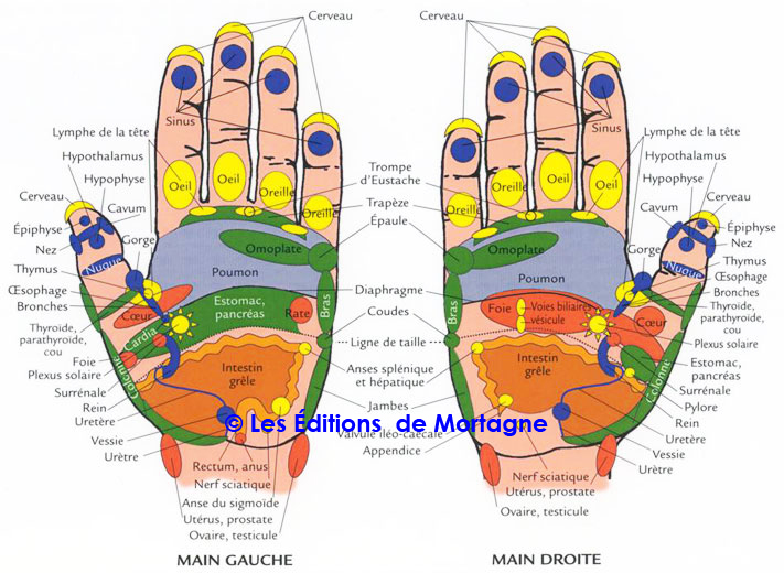 Réflexologie Sonia Aubut | 1757 Rue St Gérard, Saint-Alexandre-dIberville, QC J0J 1S0, Canada | Phone: (450) 347-4741