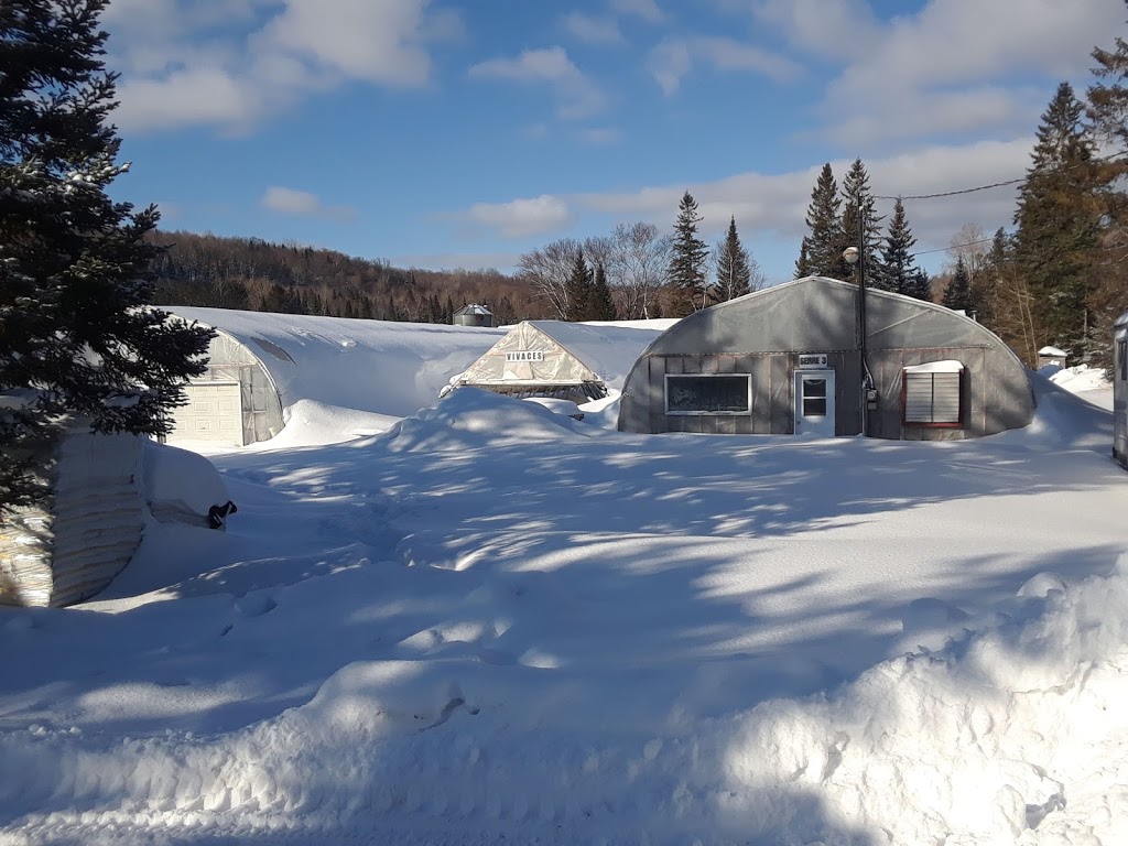 Les Serres Fleuribelle | 300 Montée Fugère, Labelle, QC J0T 1H0, Canada | Phone: (819) 421-9090