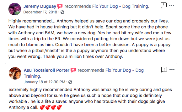 Dog Training Niagara Falls - Fix Your Dog | 6883 Cumberland Ct, Niagara Falls, ON L2H 2R6, Canada | Phone: (905) 351-2882