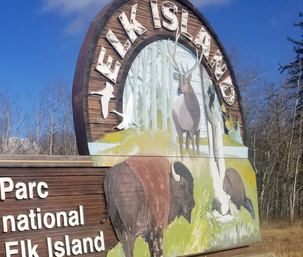 Elk Island National Park | E, 4J0, AB-16, Tofield, AB T0B 4J0, Canada