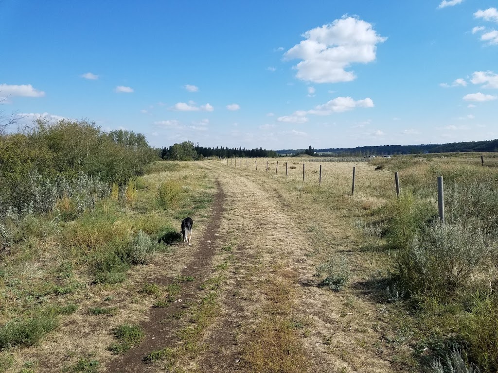 Dog Park | Southeast Calgary, Calgary, AB T0L 0X0, Canada