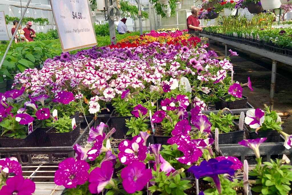 Bonnie Doon Flowers (Garden Centre) | 850 23 Ave NW, Edmonton, AB T6T 1J1, Canada | Phone: (780) 440-3053