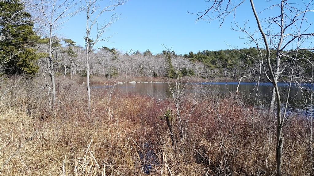 Frog Pond Park | Purcells Cove Rd, Halifax, NS B3P, Canada