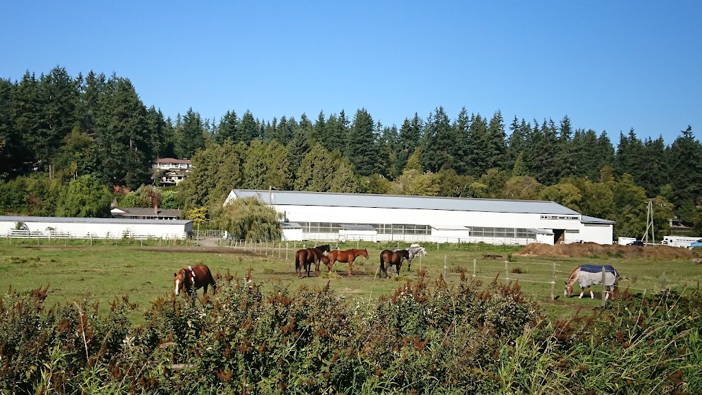 Unicorn Stables Ltd | 5095 125a St, Surrey, BC V3X 3M8, Canada | Phone: (604) 590-5172