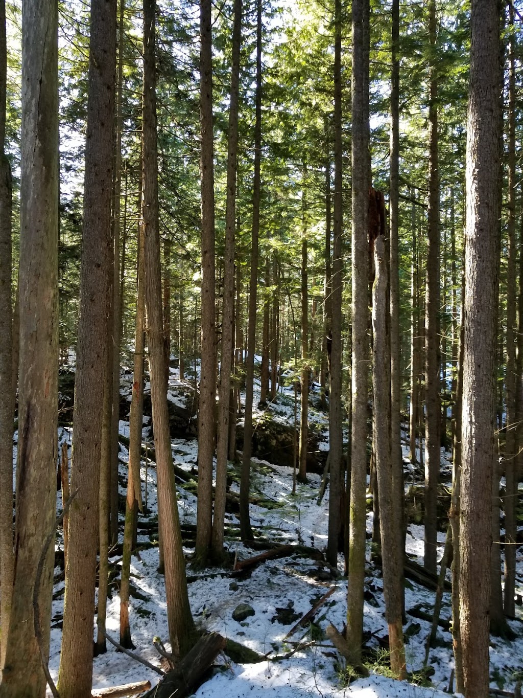 Diez Vistas Trail - Vista #10 | Diez Vistas Trail, Anmore, BC V3H 4Z4, Canada