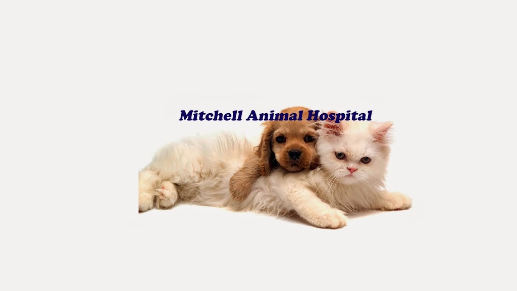 Mitchell Animal Hospital | 408 Gage Ave, Kitchener, ON N2M 5C9, Canada | Phone: (519) 743-1322