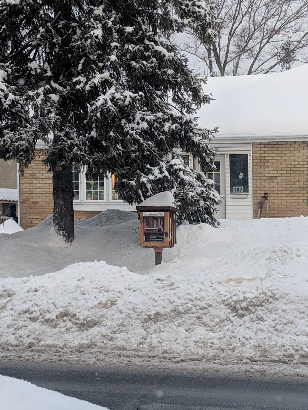 Little free library | 187 Pleasant Park Rd, Ottawa, ON K1H 5M4, Canada