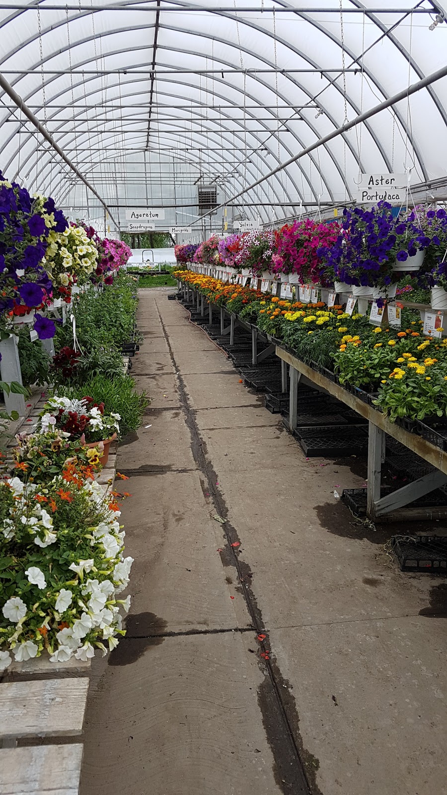 J & C Gardens | 50158 Range Rd 241, Leduc County, AB T4X 0M8, Canada | Phone: (780) 986-2329