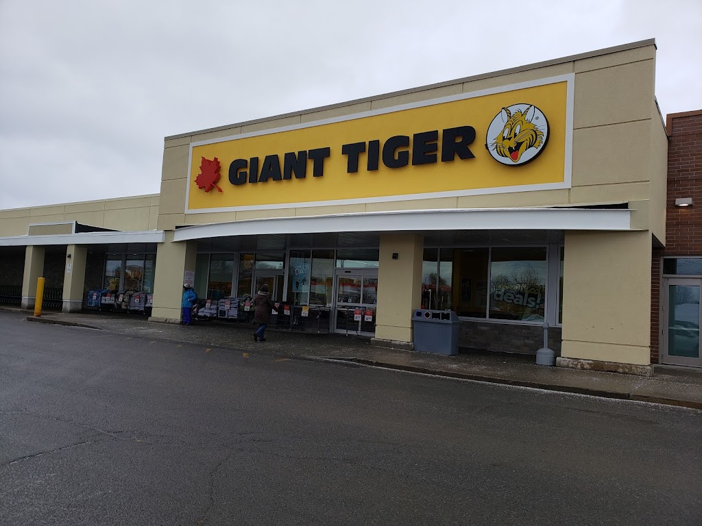 Giant Tiger | 1021 St. Laurent Blvd, Ottawa, ON K1K 3B1, Canada | Phone: (613) 748-1664