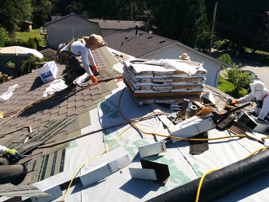 Thomson Roofing Service | 2382 204a St, Langley City, BC V2Z 1Z9, Canada | Phone: (604) 536-4145