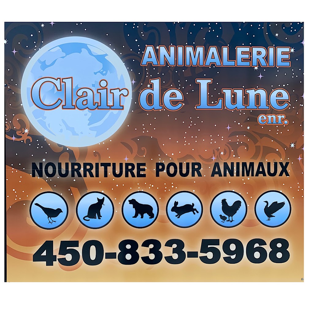 Video Clair De Lune Enr | 590 Rue Brassard, Saint-Michel-des-Saints, QC J0K 3B0, Canada | Phone: (450) 833-5968