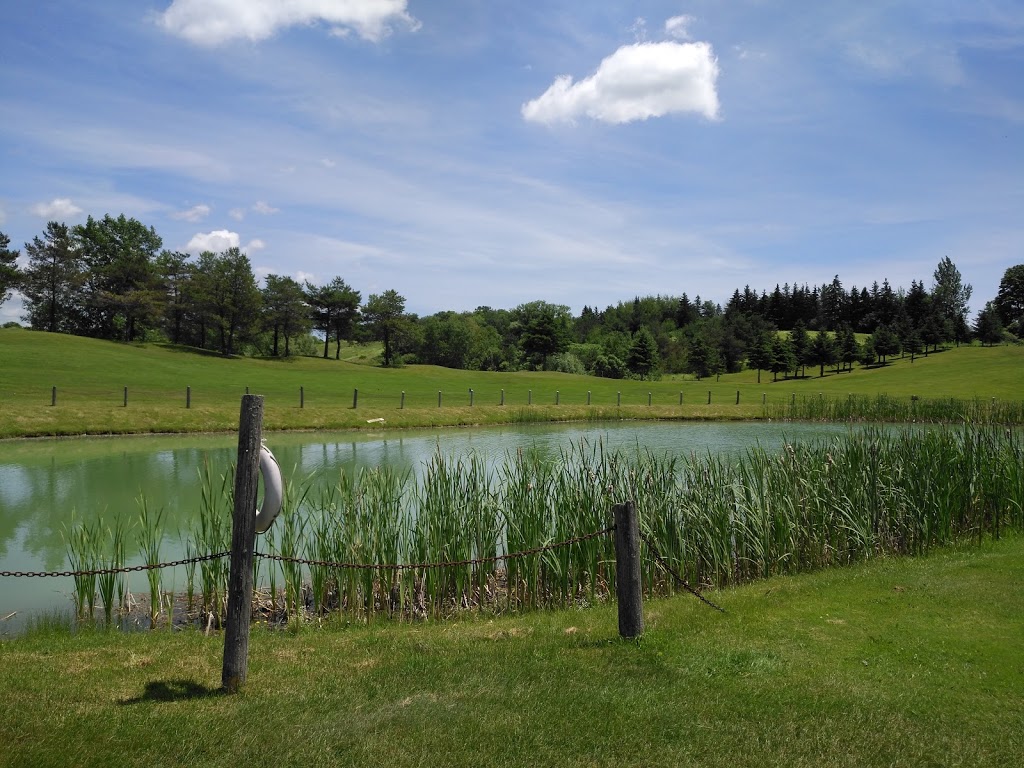 Golfers Dream | Scugog, ON L0C, Canada | Phone: (905) 985-9888