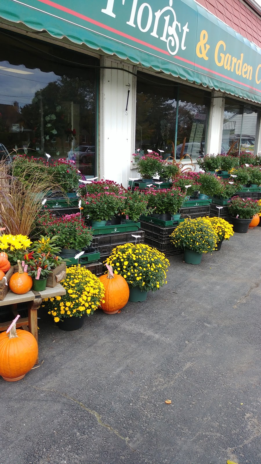 Nicol Florist | 846 Colborne St, Brantford, ON N3S 7H5, Canada | Phone: (519) 752-3142