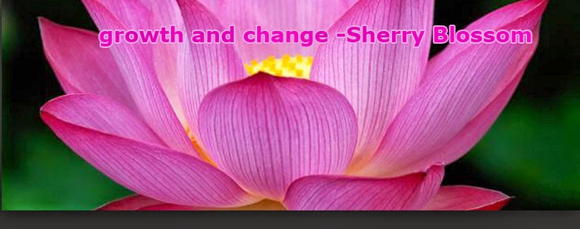 Sherry Lynn Psychotherapy | 14 Evergreens Dr, Grimsby, ON L3M 5P8, Canada | Phone: (905) 869-3898