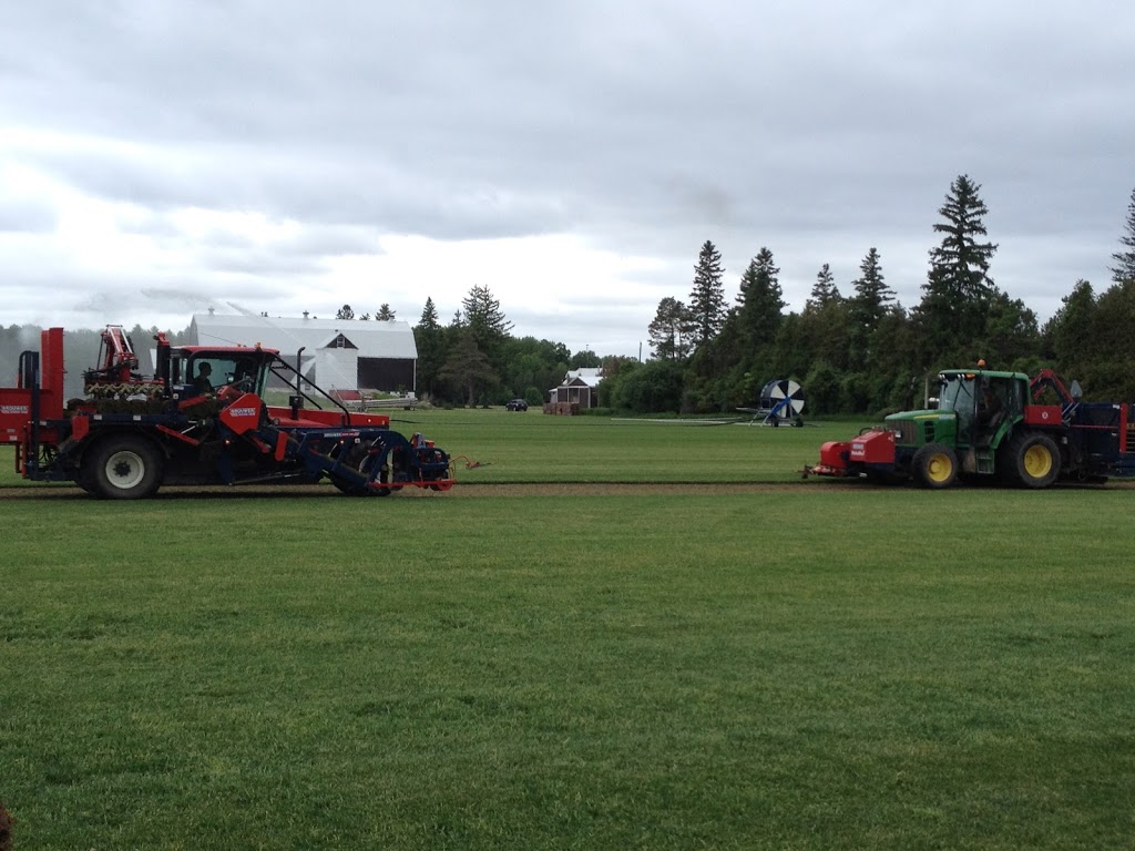 Brouwer Sod Farms Ltd | 23965 Warden Ave., Keswick, ON L4P 3E9, Canada | Phone: (905) 476-4361