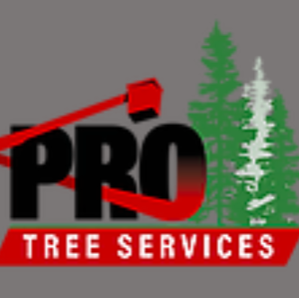 Pro Tree Services | 11421 142 St, Surrey, BC V3R 3L2, Canada | Phone: (604) 588-8733