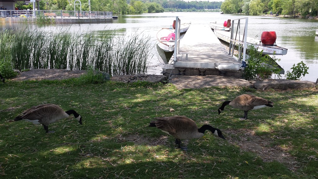 Boat launch ramp-Bayfront Park | 1C8,, Harbour Front Dr, Hamilton, ON L8L 1C8, Canada | Phone: (905) 546-2489