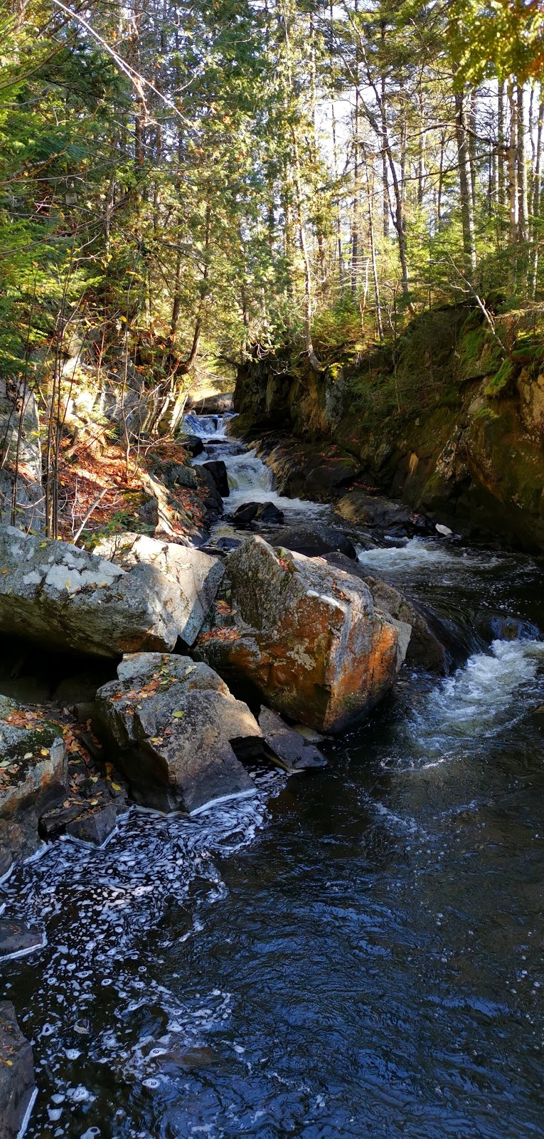 Centre DAcces A La Nature | 2424 Chemin du Lac Quenouille, Lac-Supérieur, QC J0T 1P0, Canada | Phone: (819) 688-3212