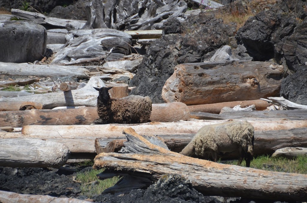 Squitty Bay Provincial Park | Lasqueti Island, BC V0R 2J0, Canada | Phone: (800) 689-9025