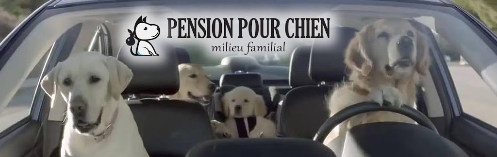 Pension pour chien Jappe-Y-Toutou | 2921 Rang du Haut de la Rivière, Sainte-Élisabeth, QC J0K 2J0, Canada | Phone: (514) 926-7613