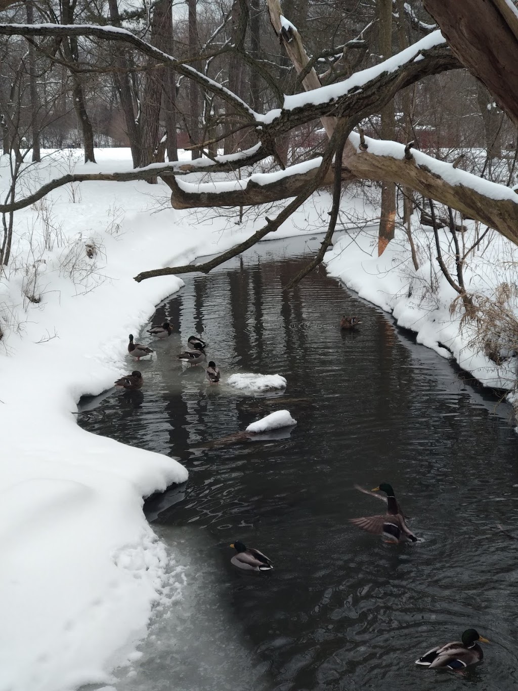 High Park Nature Centre | 375 Colborne Lodge Dr, Toronto, ON M6R 2Z3, Canada | Phone: (416) 392-1748