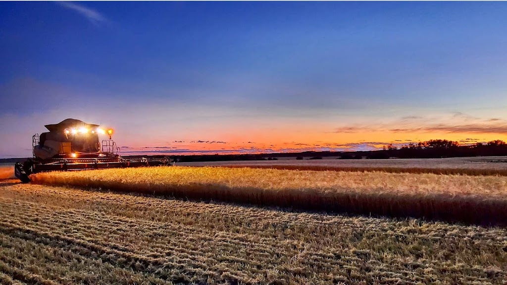 Wavy Lake Farm | 36360 Range Road 272, Red Deer County, AB T0M 1R0, Canada | Phone: (403) 396-8590