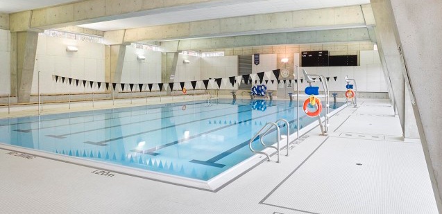 Seal Swimming Swim School | 306 Lawrence Ave E, North York, ON M4N 1T7, Canada | Phone: (289) 872-0612