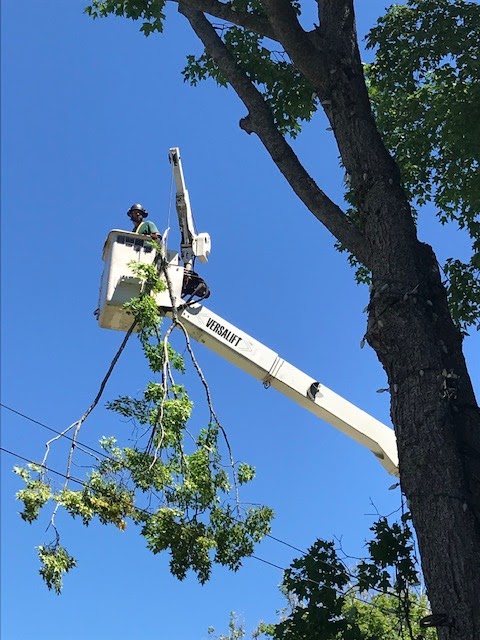 Ken Gilbert Bucket Truck Service | 18905 Nova Scotia Trunk 2, Nappan, NS B0L 1C0, Canada | Phone: (902) 669-0646