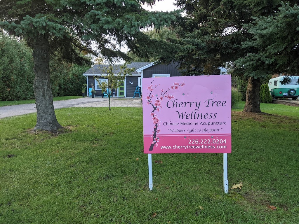 Cherry Tree Wellness Acupuncture | 54 Penetangore Row S, Kincardine, ON N2Z 2L8, Canada | Phone: (226) 222-0204