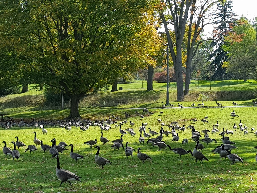 Storybook Gardens | 1958 Storybook Ln, London, ON N6K 4Y6, Canada | Phone: (519) 661-5770