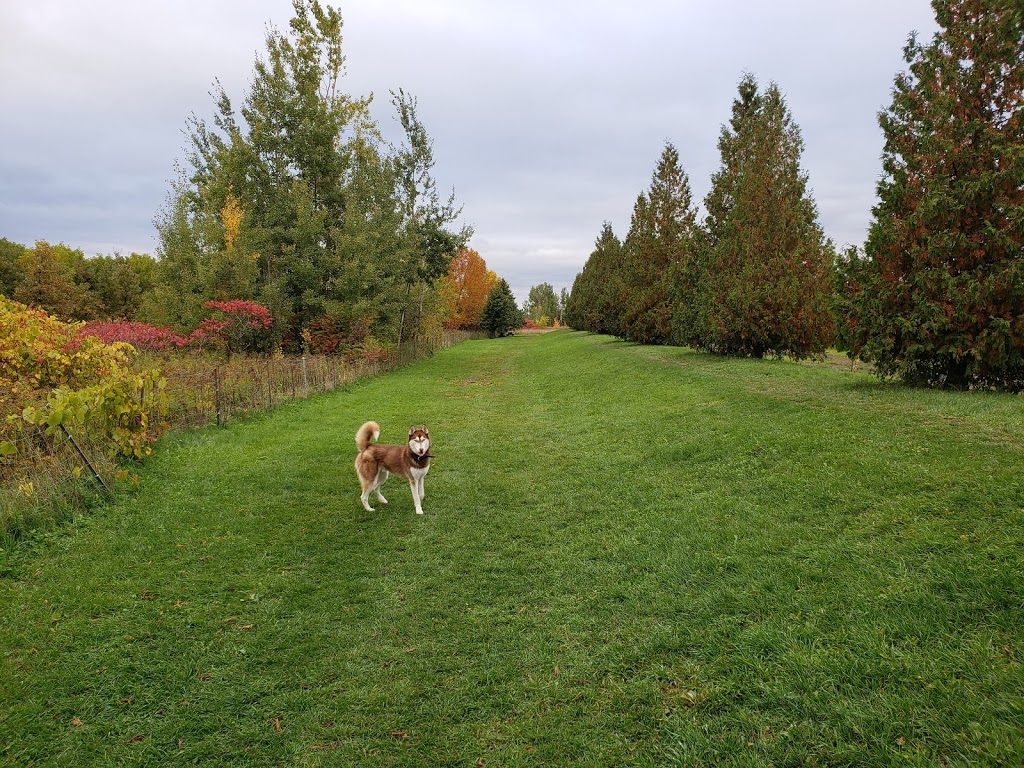 Parc Canin | Unnamed Road, LÉpiphanie, Quebec, QC J5X 2X3, Canada