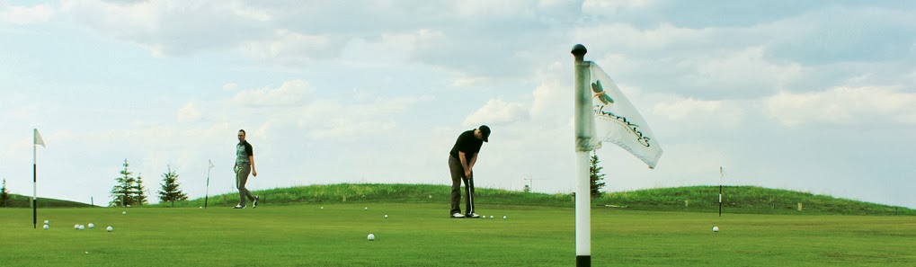 Silverwing Links Golf Course | 3434 48 Avenue Northeast, Calgary, AB T3J 0L1, Canada | Phone: (403) 269-8005