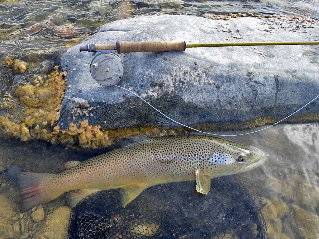 Alberta Fly Fishing Adventures | 8301 20 Ave, Coleman, AB T0K 0M0, Canada | Phone: (403) 563-8510