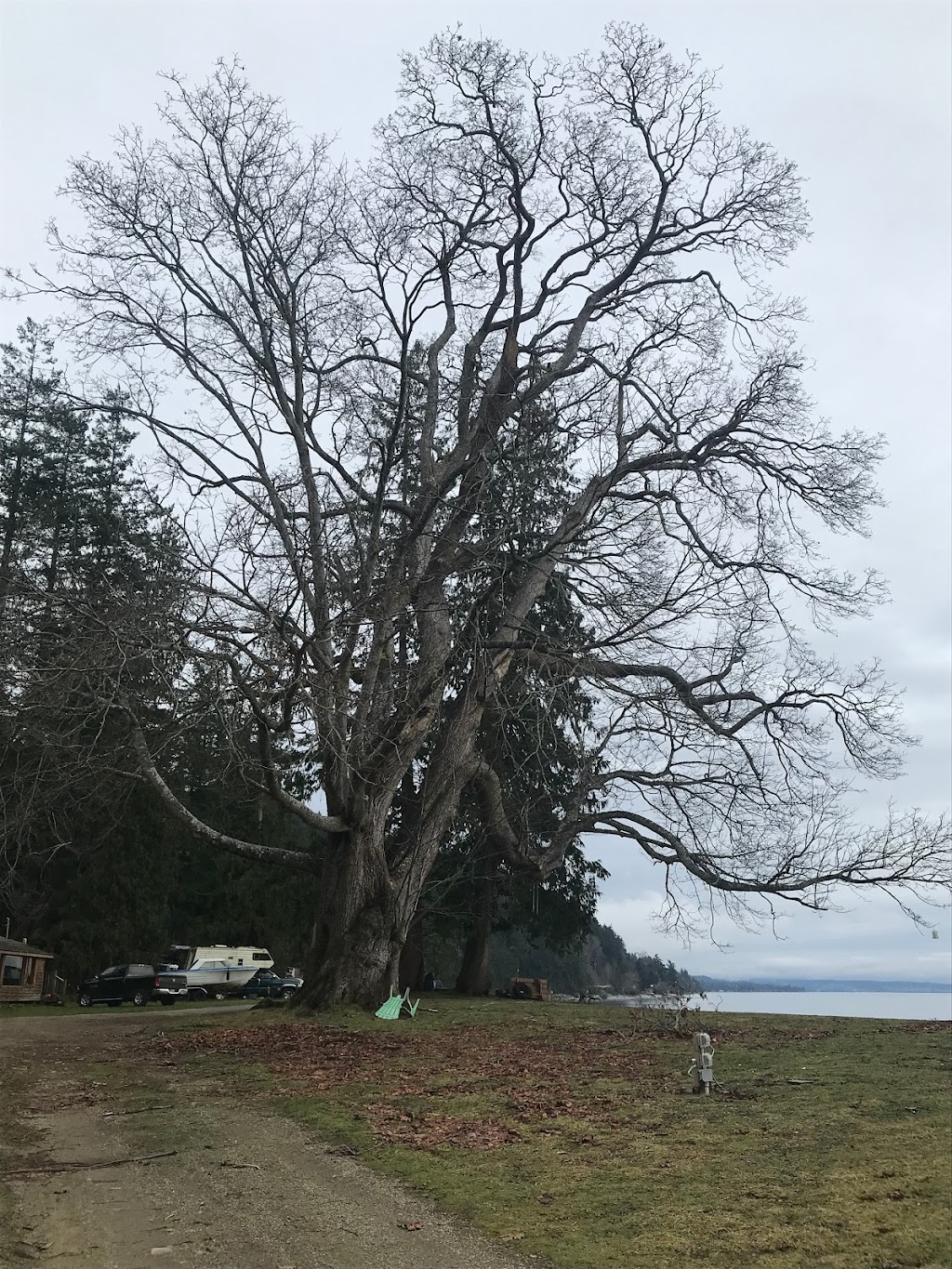 Emmonds Road Beach Access and Dive Site | 8116 Emmonds Rd, Powell River, BC V8A 0E7, Canada | Phone: (604) 487-1380