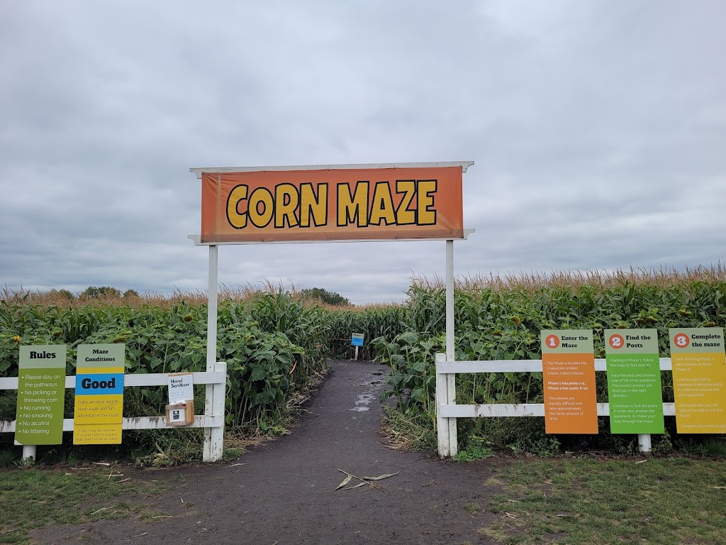 Edmonton Corn Maze | 26171 Secondary Hwy 627, Spruce Grove, AB T7Y 1B3, Canada | Phone: (825) 535-3600