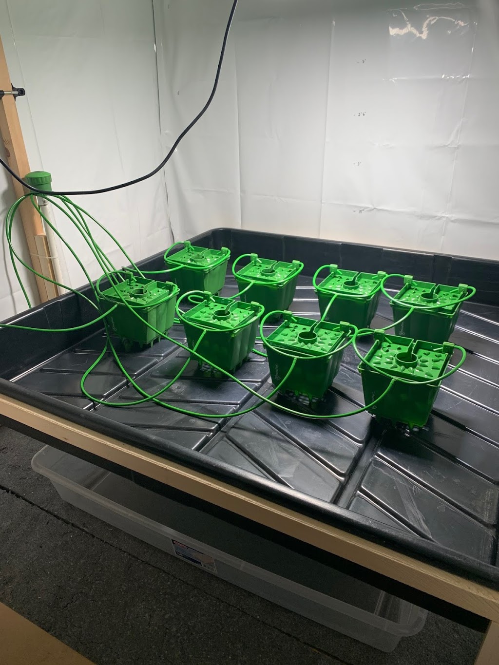The Grow Depot | 1040 Martin Grove Rd Unit 11, Etobicoke, ON M9W 4W4, Canada | Phone: (647) 748-4769