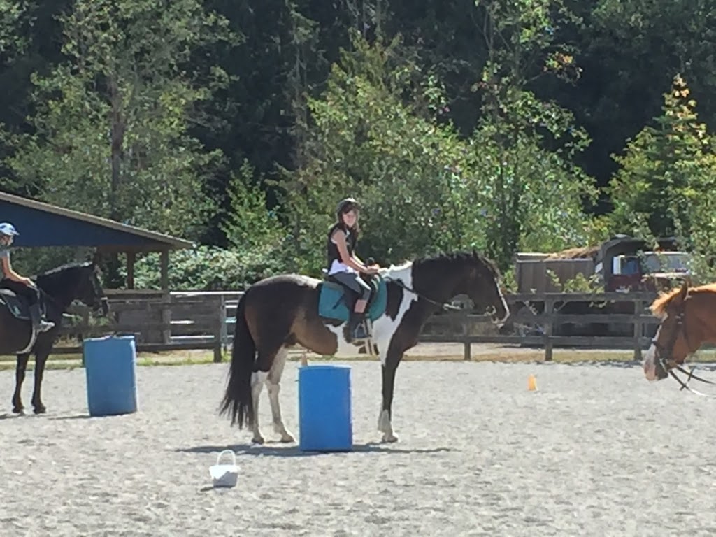 Sacred Equestrians | 22603 64 Ave, Langley City, BC V2Y 2N8, Canada | Phone: (778) 549-2585