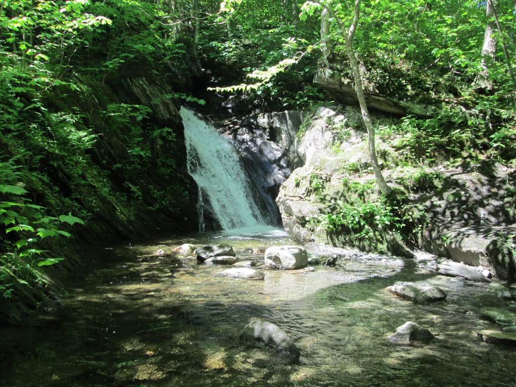 Parc denvironnement naturel de Sutton | 900 Chemin Réal, Sutton, QC J0E 2K0, Canada | Phone: (450) 538-4085