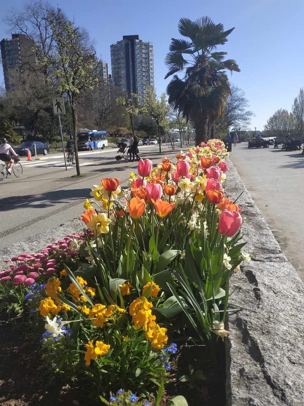 English Bay Seawall | Vancouver, BC V5Y 1V1, Canada | Phone: (604) 873-7000