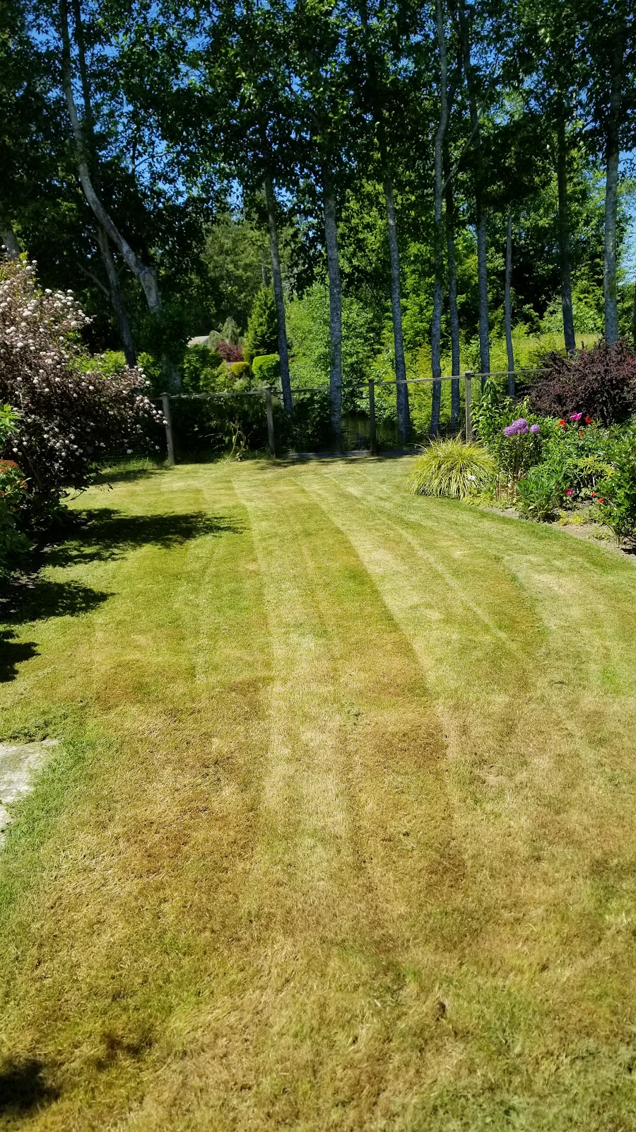 Taylors lawn care and junk removal | 6503 Seton Ave, Powell River, BC V8A 4Y1, Canada | Phone: (604) 578-8913