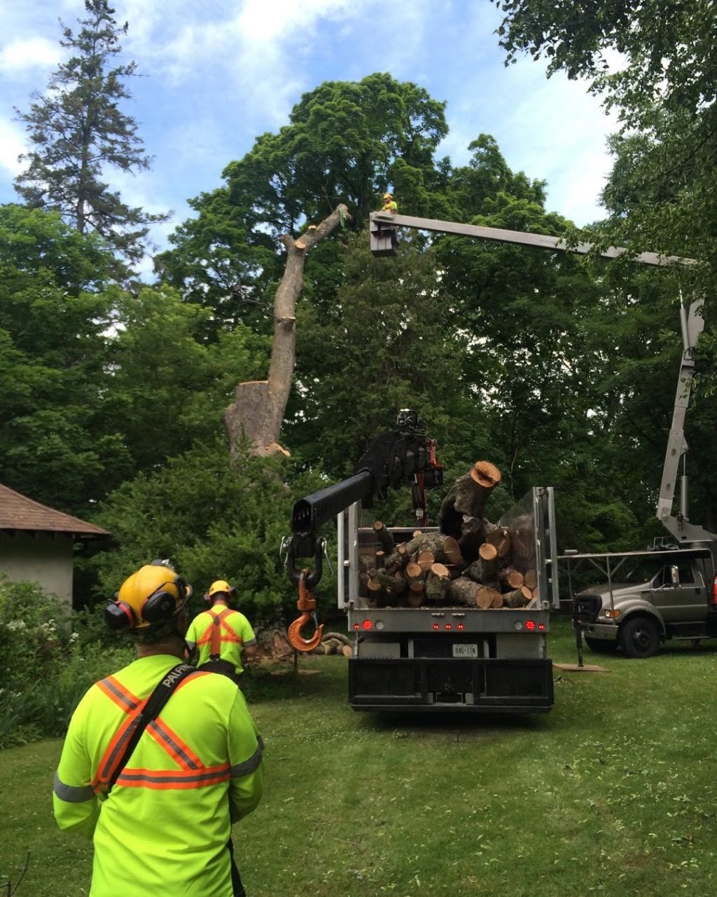 Maple Hill Tree Services | 1220 Heritage Rd, Burlington, ON L7L 4X9, Canada | Phone: (905) 824-2100