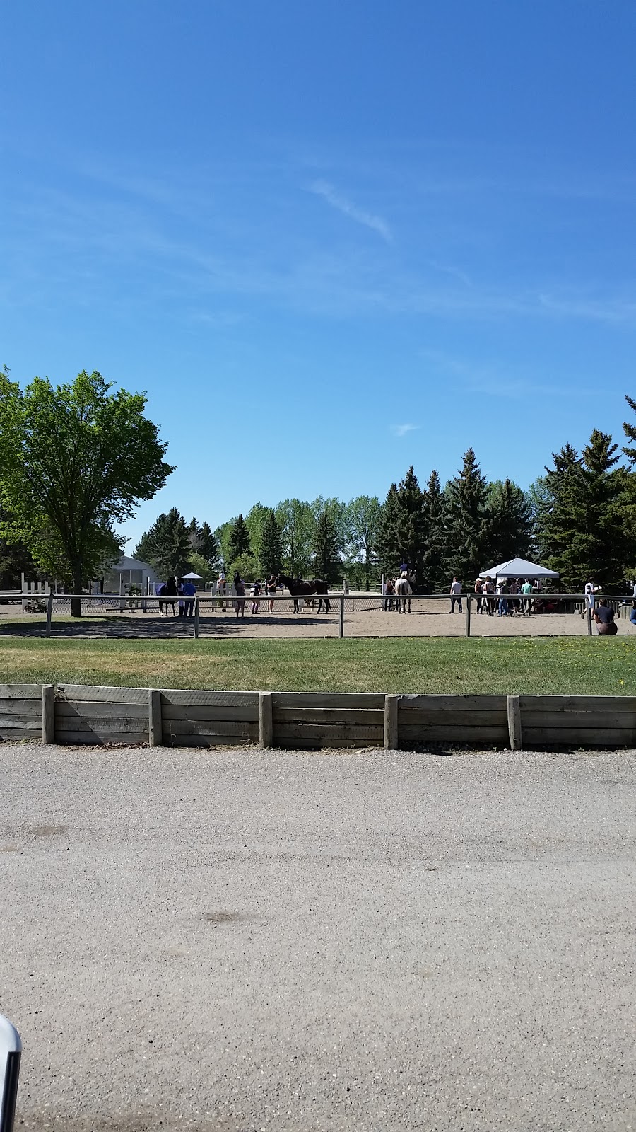 Canadiana Equestrian Center | Unnamed Road, 0S0, Crossfield, AB T0M 1L0, Canada | Phone: (403) 818-2480