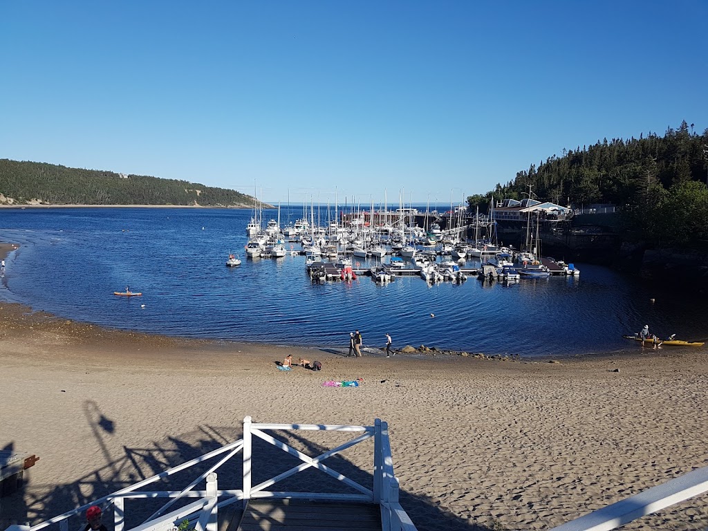 Marina de Tadoussac | 100 Rue du Bord de lEau, Tadoussac, QC G0T 2A0, Canada | Phone: (418) 235-4585